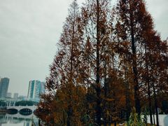 -眉山湿地公园(东坡区)