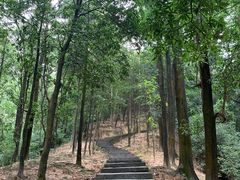 -火炉山森林公园