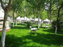 -九十九顶毡房(阜石路店)