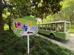 -黄兴公园