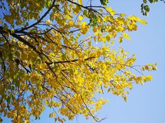 -大明宫国家遗址公园·御道广场