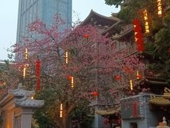 -阪尚皇·原切牛排·烤肉火锅自助(北京路店)