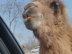 -南京金牛湖风景区