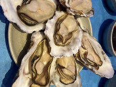 -千岛蚝高压锅生蚝·人参火锅(白云万达店)