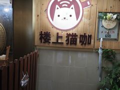 -楼上猫咖(罗湖店)