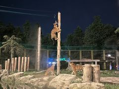 -上海野生动物园