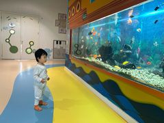 -中国宋庆龄青少年科技文化交流中心