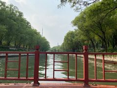 -皇家御河游(紫御湾码头)