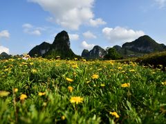 -靖西鹅泉风景区