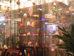 -老街渔味馆(芳华店)