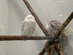-海合安武汉极地海洋公园