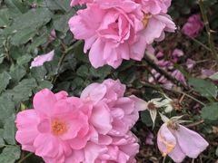 -人民公园(罗湖区)