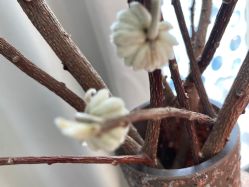 -铂诗玥医美