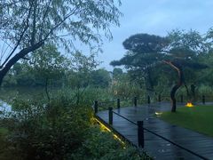 -新荣记(西溪湿地店)