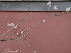 -钱王祠