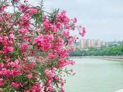 -惠州西湖
