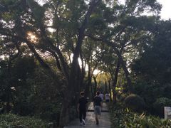 -罗三妹山