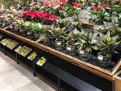 -果蔬好生活超市(乐堤港店)