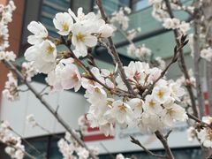 -山东省千佛山医院
