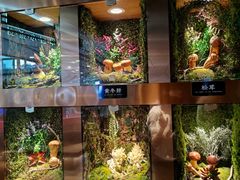 -菌彩云南野生菌火锅(万达广场店)