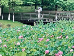 -沐仙湖湿地公园