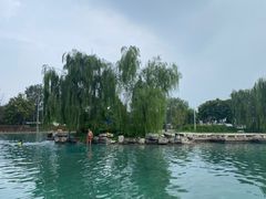 -柳浪游泳场