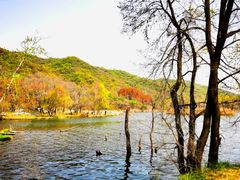-玉渡山自然风景区