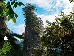 -光雾山旅游景区