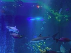 -沈阳海洋探索中心