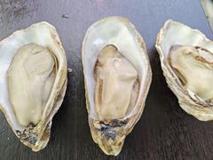 -蚝堡·生蚝海鲜烧烤物种起源•海肠捞饭(刘公岛店)