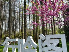 -东湖听涛景区