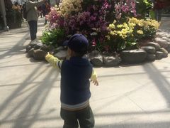-北京植物园-展览温室