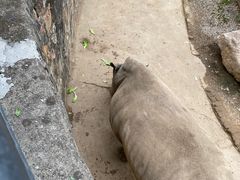 -无锡动物园·太湖欢乐园