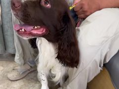 -美联众合动物医院·24h转诊中心