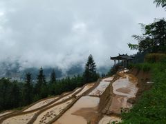 -紫鹊界梯田景区