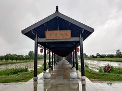 -陶辛水韵