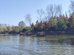 -溱湖国家湿地公园