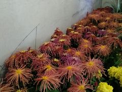 -杭州植物园