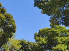 -采石矶景区