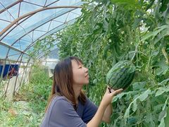 -庞各庄西瓜蔬菜采摘园·锦华瓜园