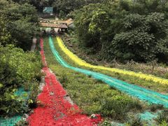 -竹泉村旅游度假区