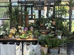 -北马山庄植趣咖啡