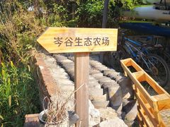 -动邦皮划艇·桨板·独木舟·团建户外运动俱乐部