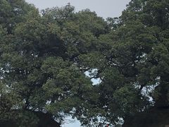 -窦圌山风景区