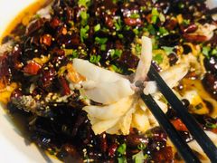 黑鱼花-三猫黑鱼花(南大店)