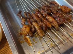 -福苗小骆驼烧烤(莲湖路店)