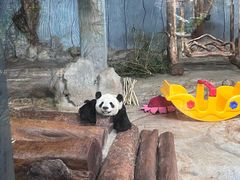 -海南热带野生动植物园