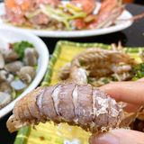 痛风套餐搞一下