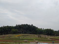 -保利石象湖景区