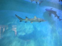 -波塞冬旅游度假区